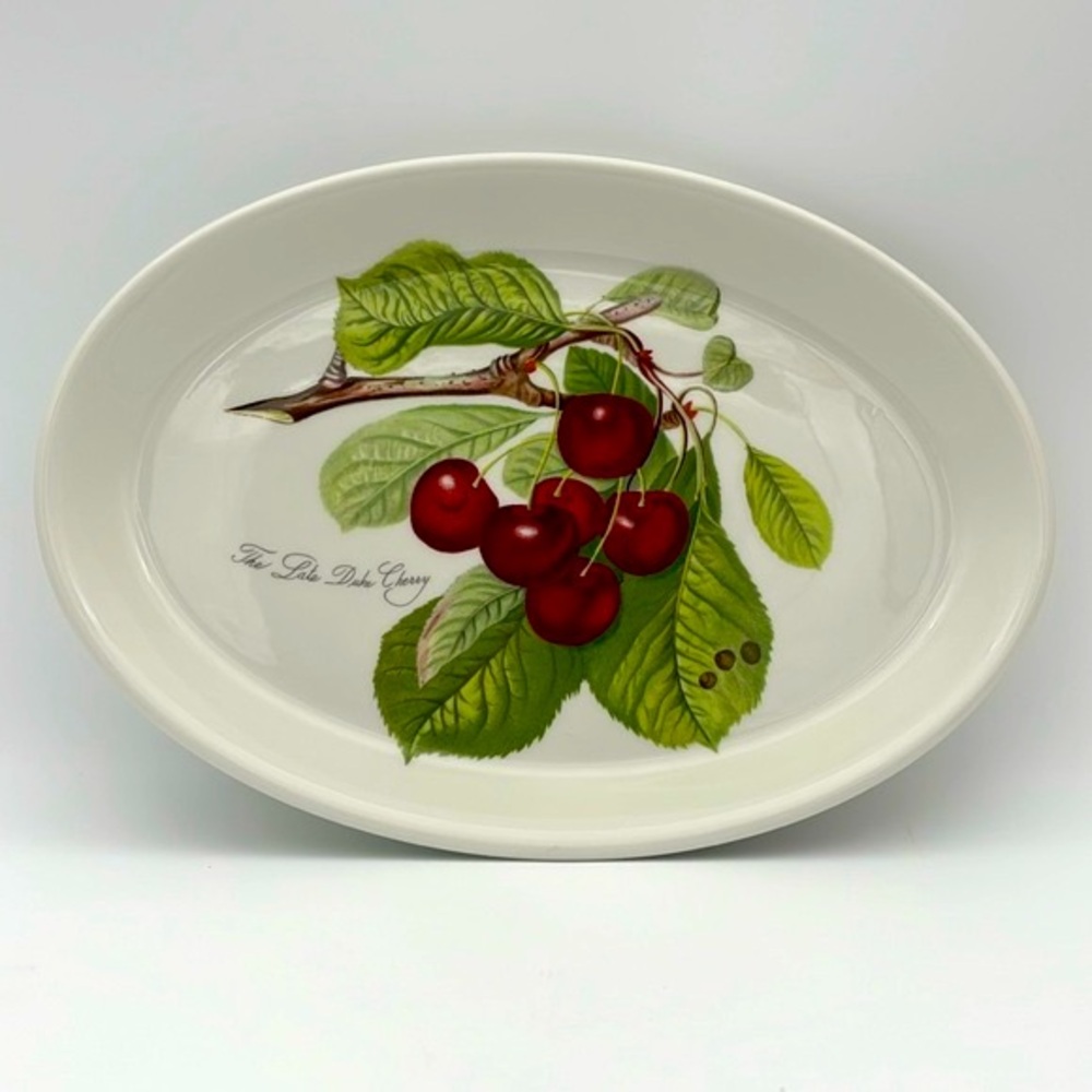 Vintage Pomona by Portmeirion 10 3/4 Inch Ceramic Oval Steak Platter